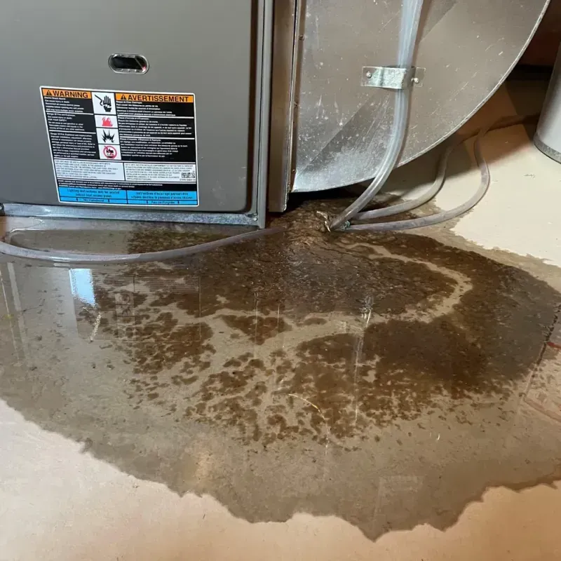 Appliance Leak Cleanup in Whispering Pines, NC